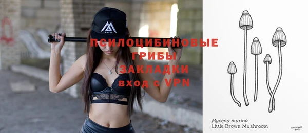 кокс Баксан